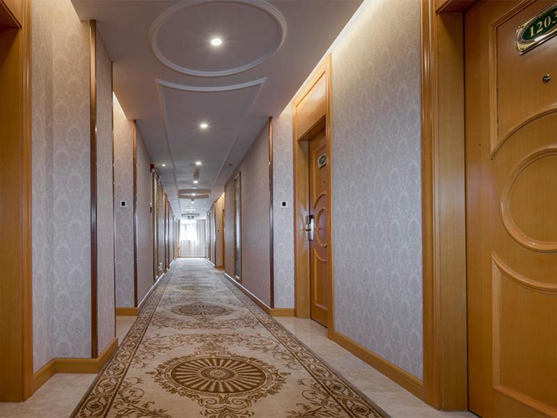 Vienna Hotel(Shenzhen Shajing Jingji Baina) 30/43