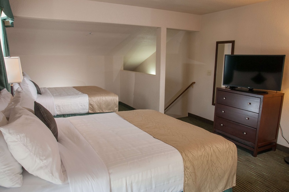 Best Western Plus Eagle/Vail Valley 17/41
