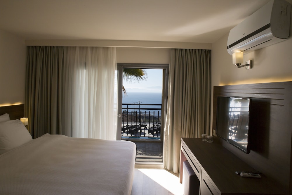 Palmera Hotel 13/50