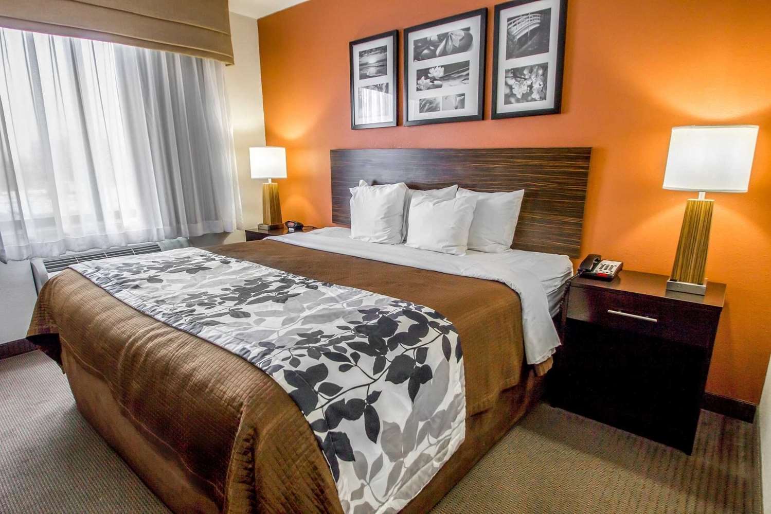 Sleep Inn JFK Airport Rockaway Blvd 14/27