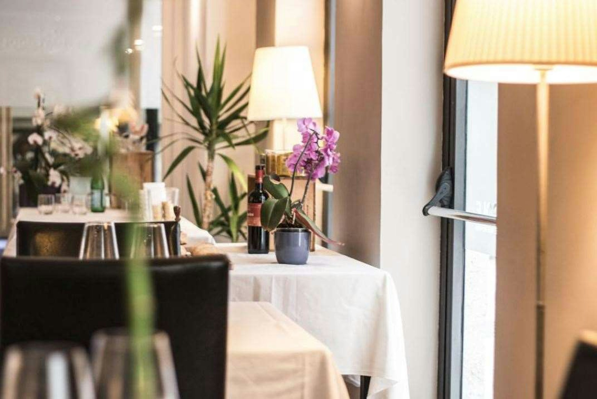 Belmonte Hotel Dependence Alba Palace Hotel 16/25
