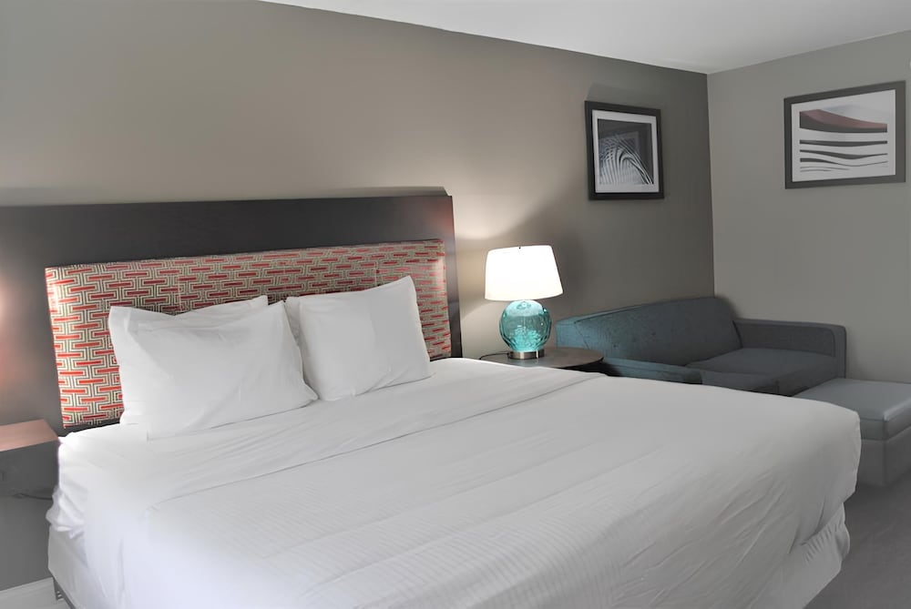 Room, King Bed, Sofa, Accessible