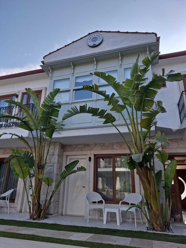 Icarus Hotel 2/46