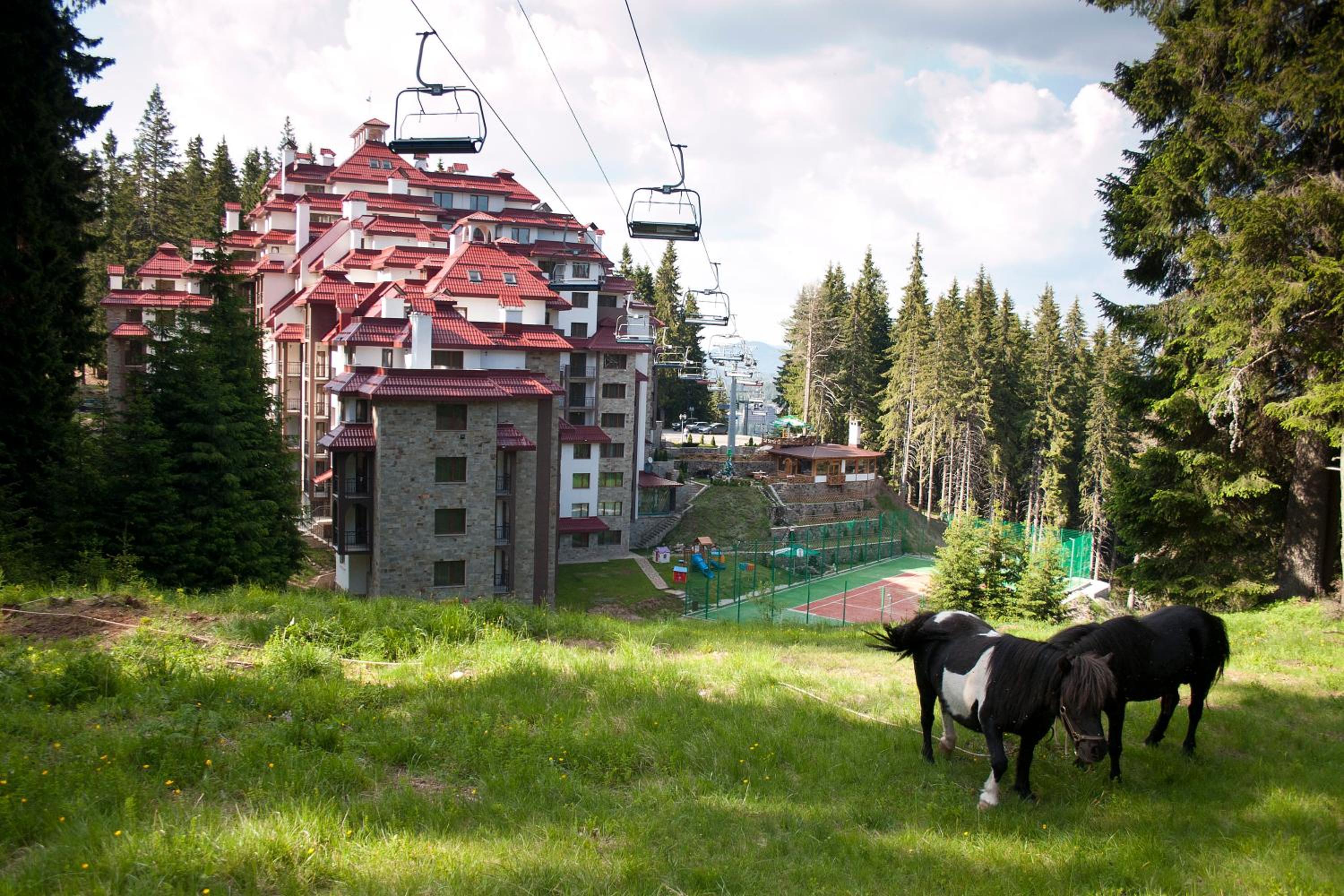 Kamellia Hotel Pamporovo 47/50