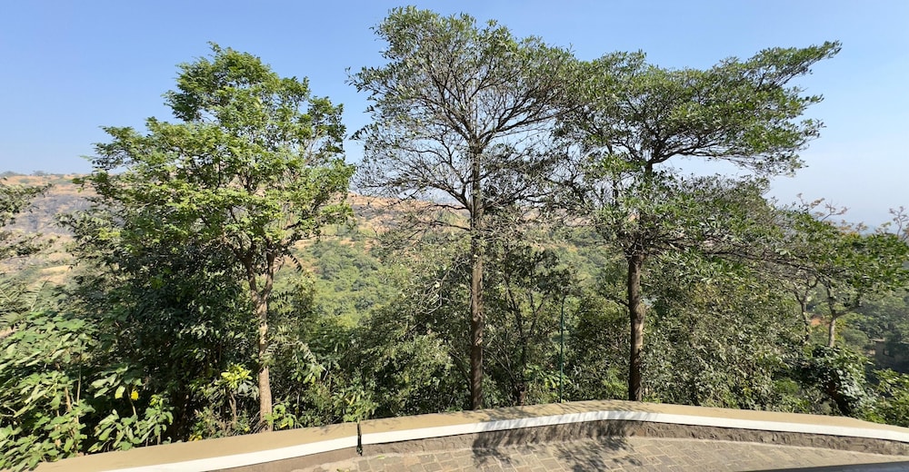 The Upper Deck Resort 43/50