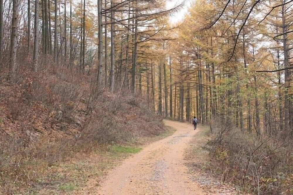 Yeongwol Moon In Cloud Pension 46/50