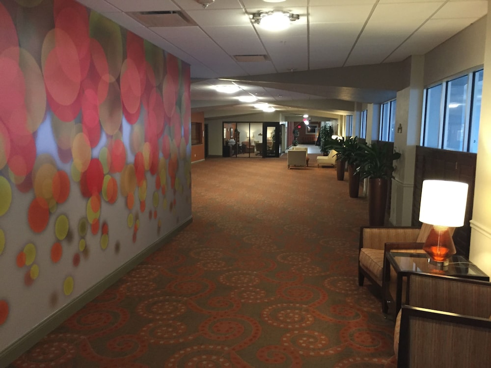 Daytona Beach Resort Conference Center 41/55