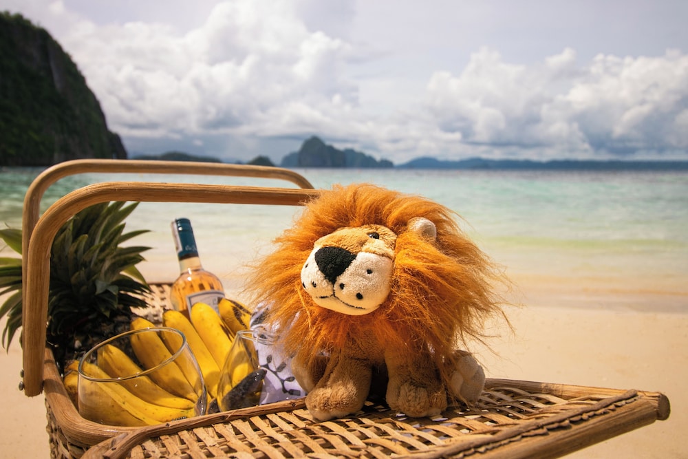 The Funny Lion El Nido 45/50