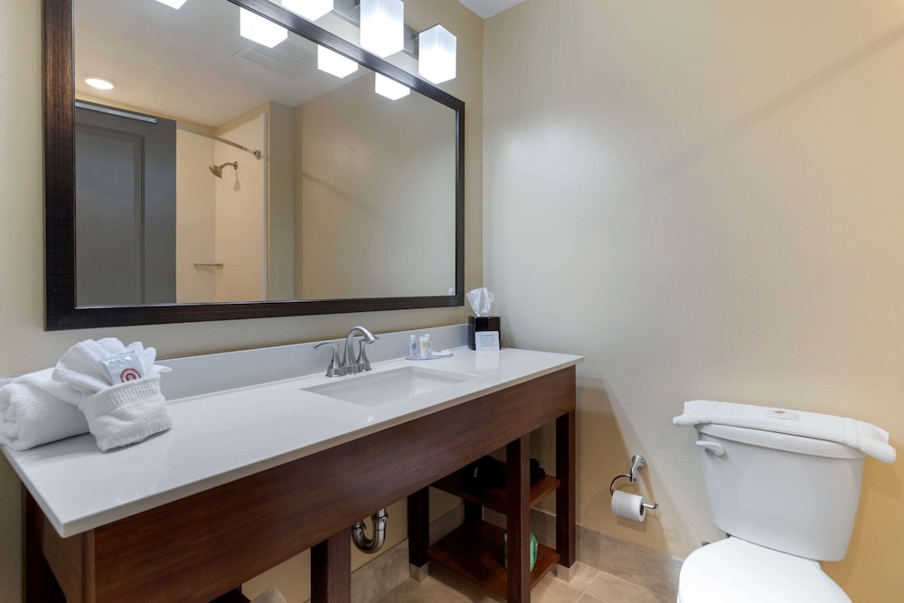 Comfort Inn & Suites East Ellijay, GA 16/41
