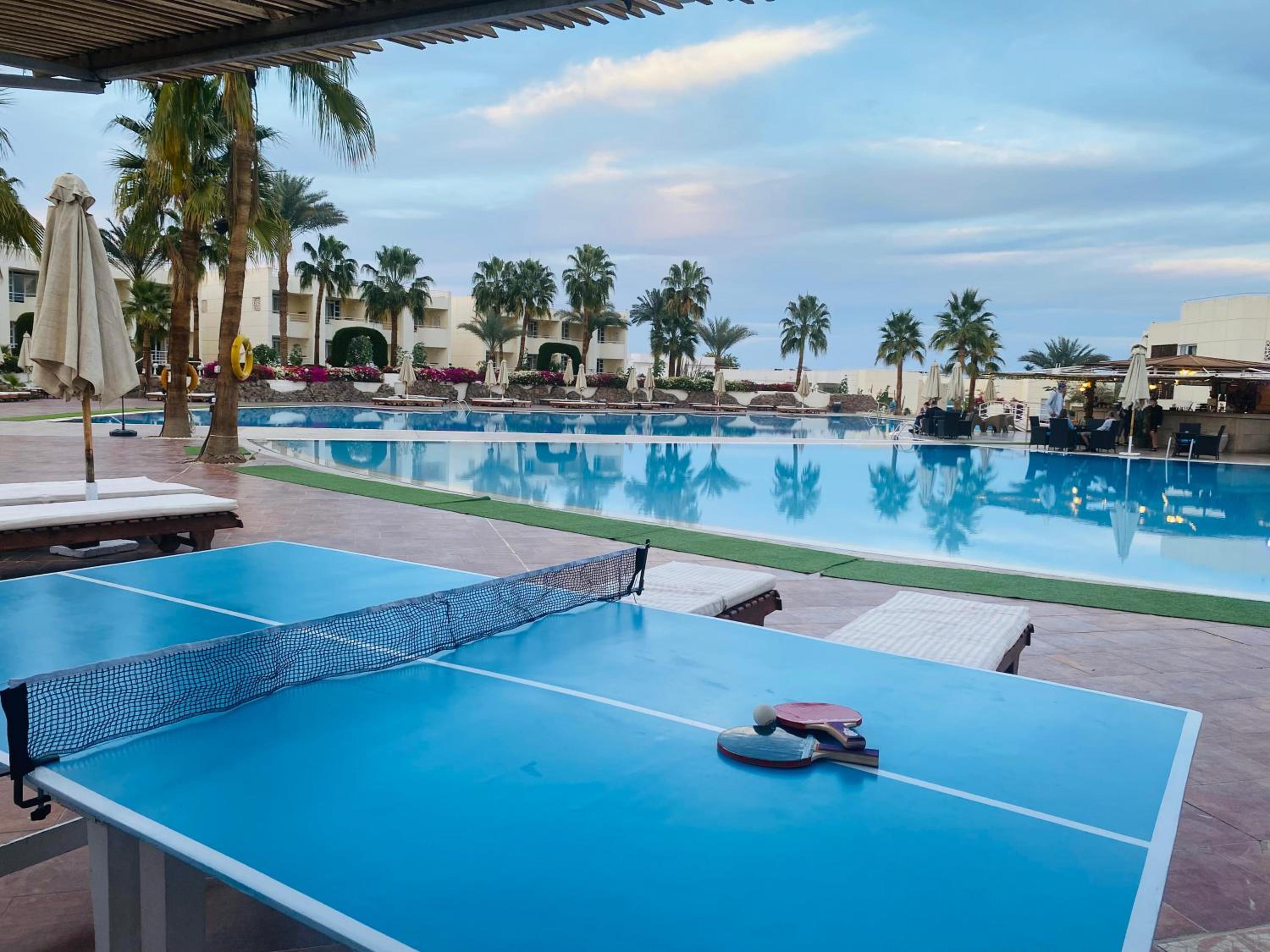Sharm Reef Resort 31/55