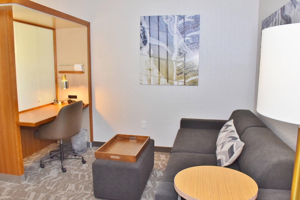 Springhill Suites By Marriott Grand Junction Downtown Historic Main St 19/38