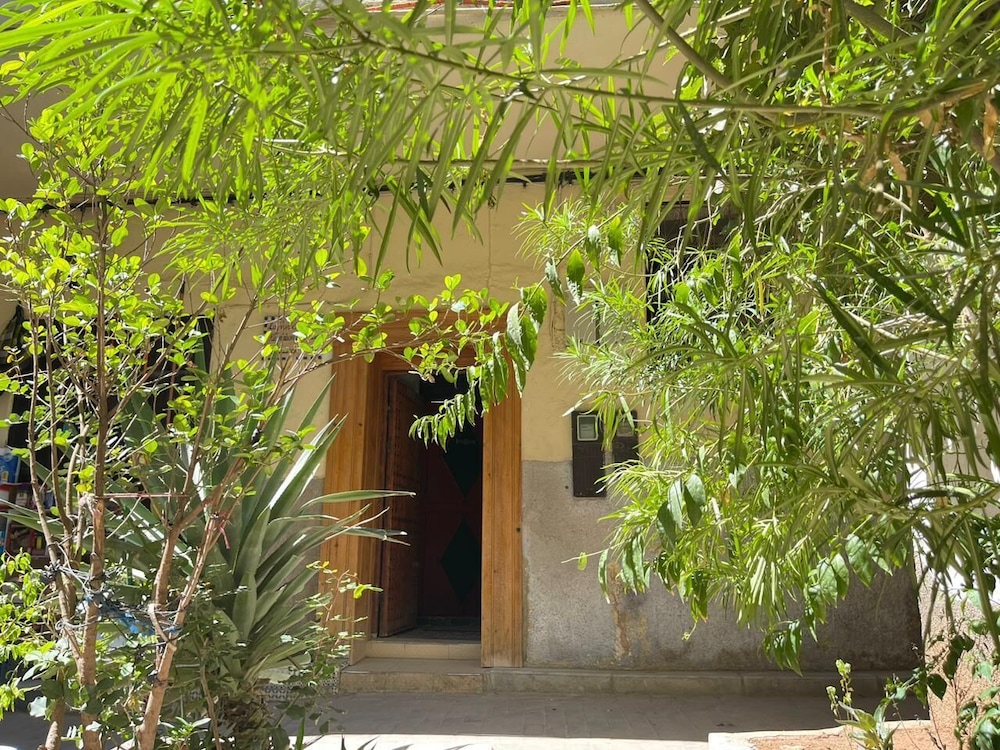 La Casa Espanyola 48/50