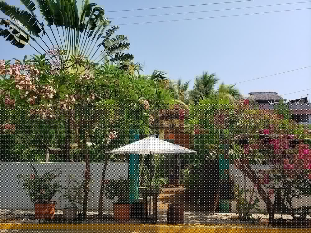 Villa Mozart y Macondo 3/44