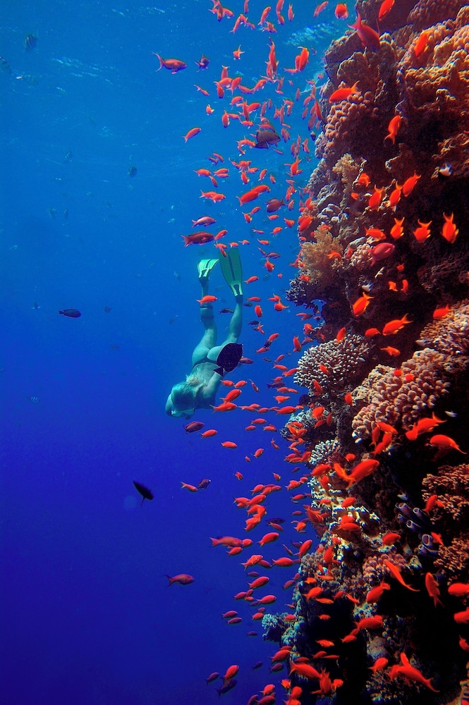 The Breakers Diving and Surfing Lodge 42/62