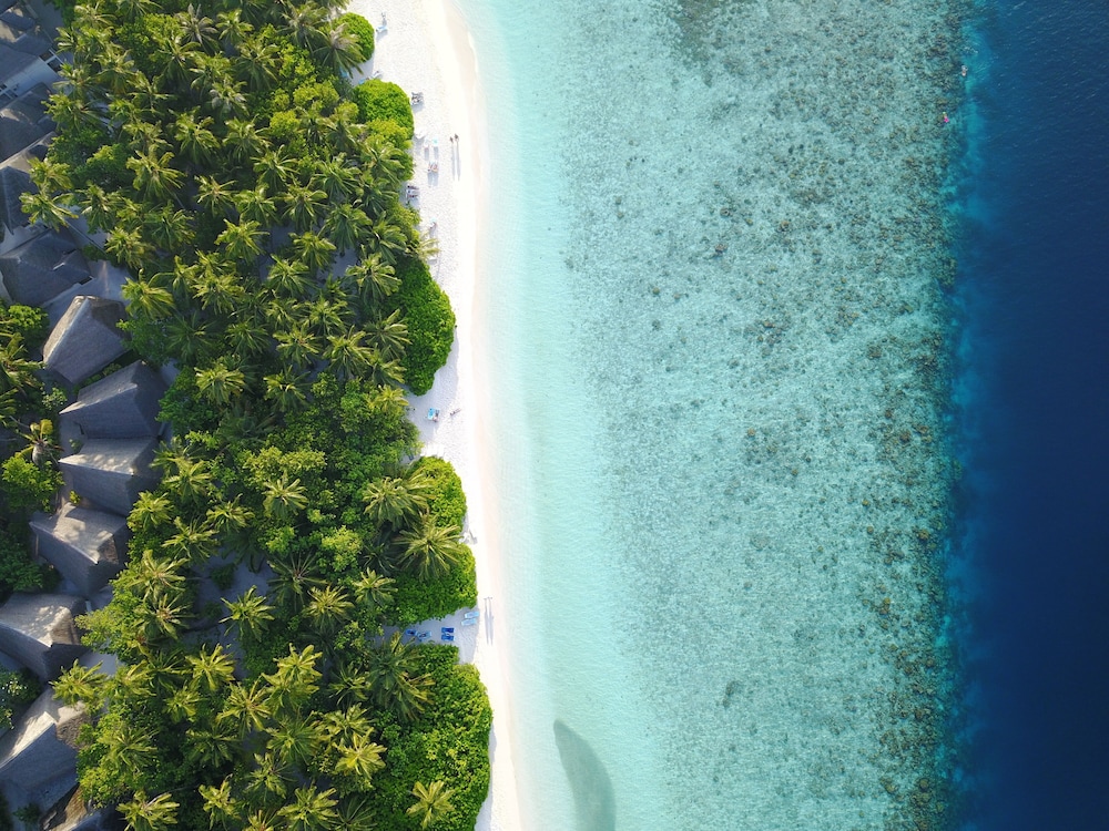 Fihalhohi Maldives 50/61