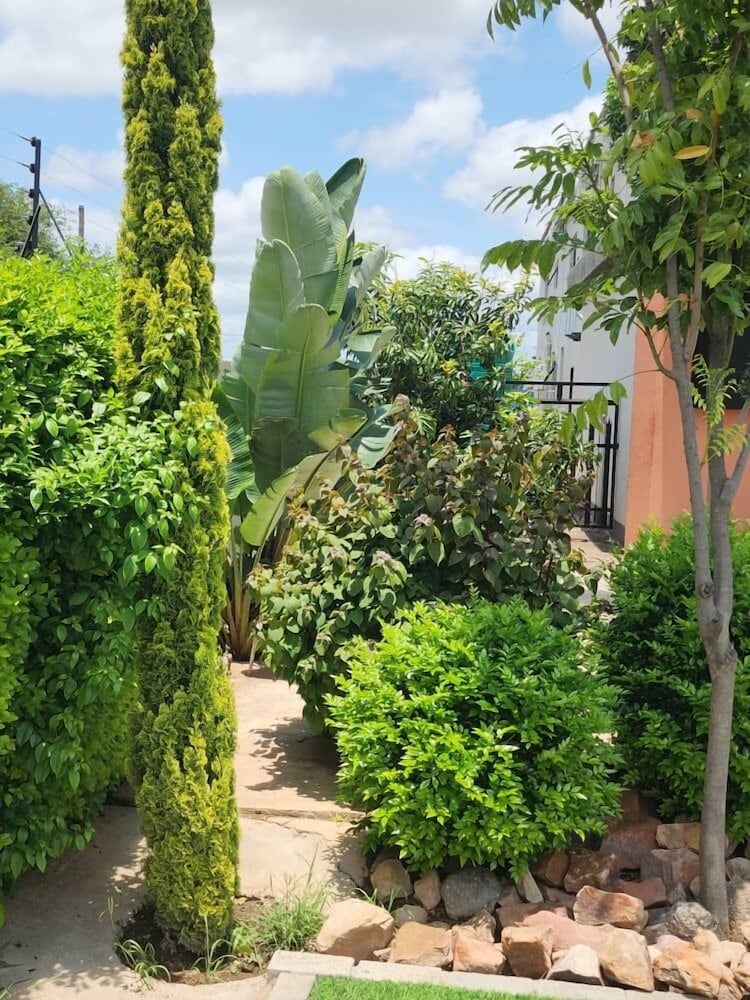 Cycad Palm Hotel 40/50