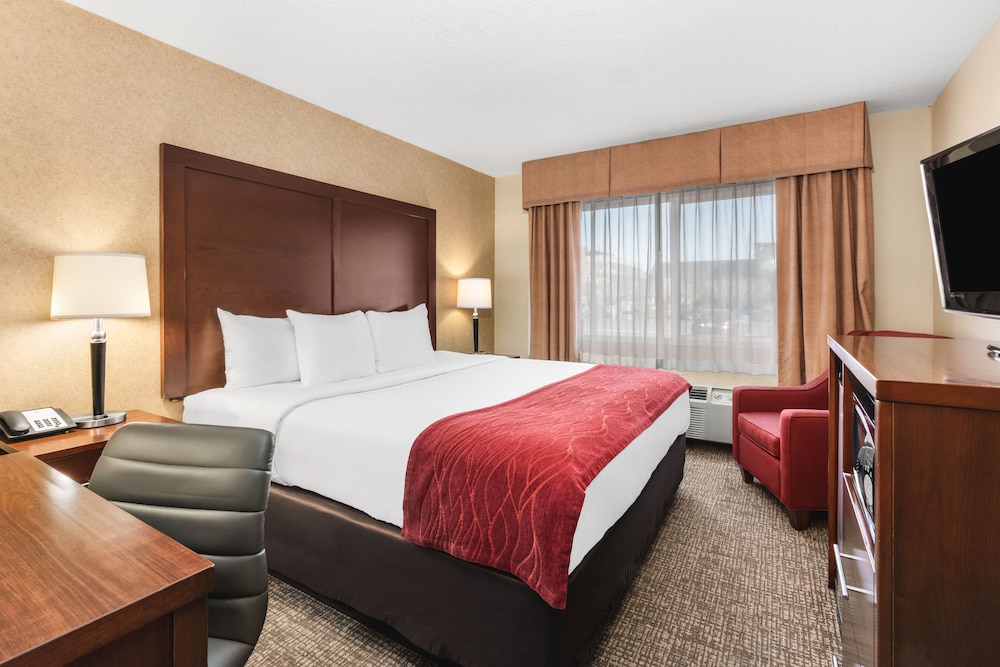 Comfort Inn & Suites Vancouver Downtown City Center 14/48