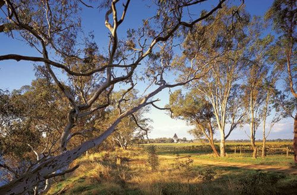 The Mitchelton Hotel Nagambie - MGgallery by Sofitel 42/50