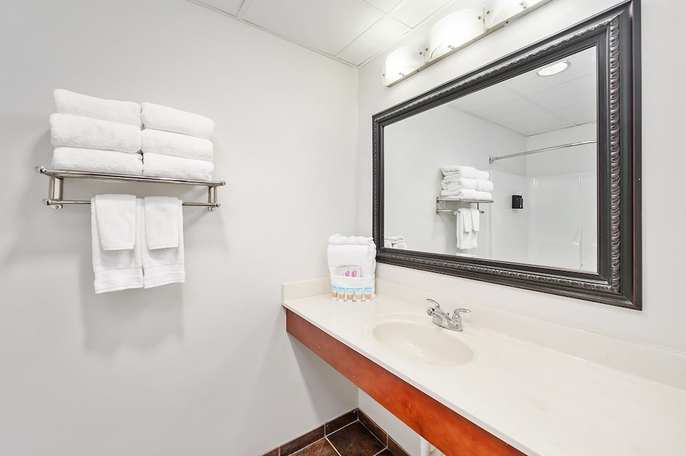 Royalton Hotel 48/50