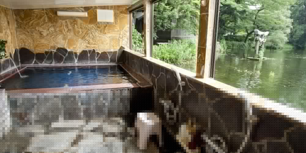 Pension Kinrinko Toyonokuni 5/60