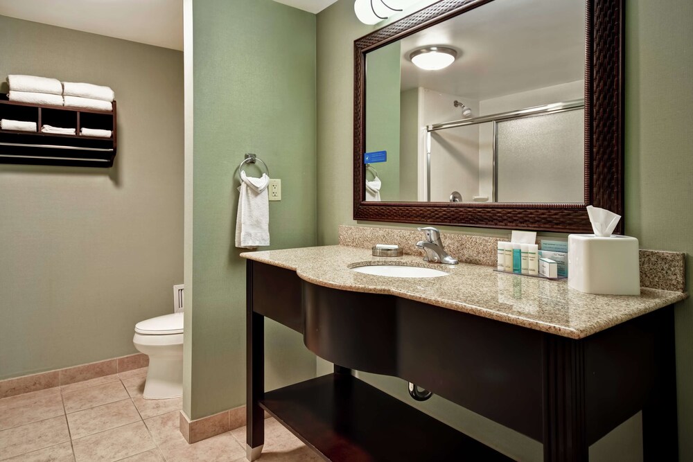 Hampton Inn Suites Detroit Canton 27/89
