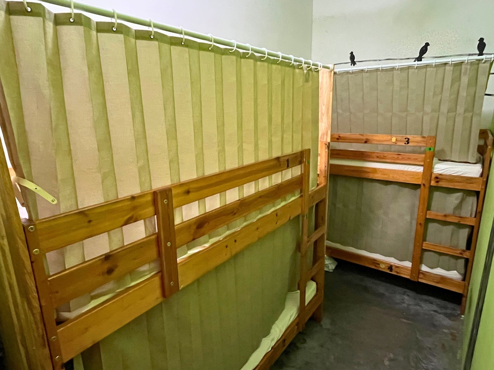 PODs The Backpackers Home & Cafe 30/50