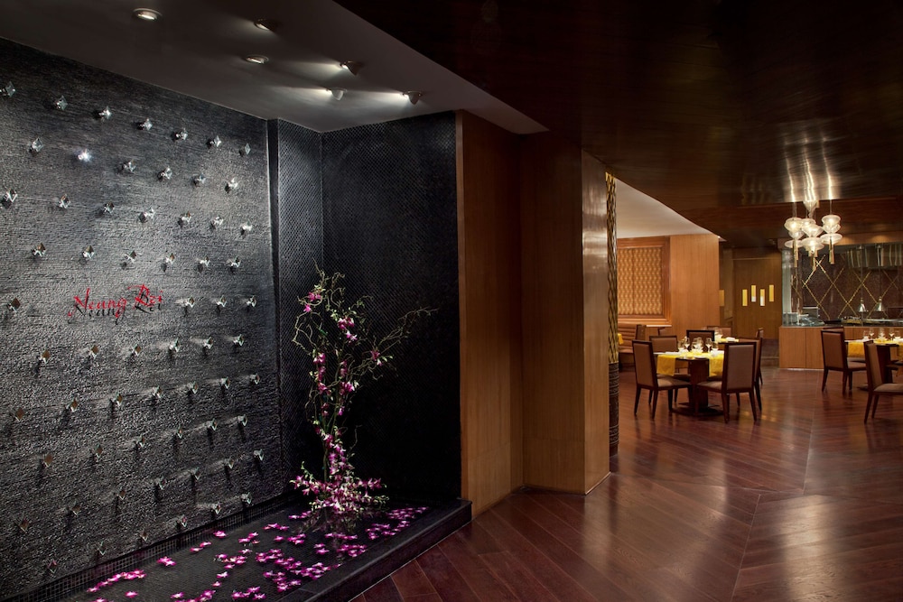 Radisson Blu Plaza Hotel Delhi Airport 62/76
