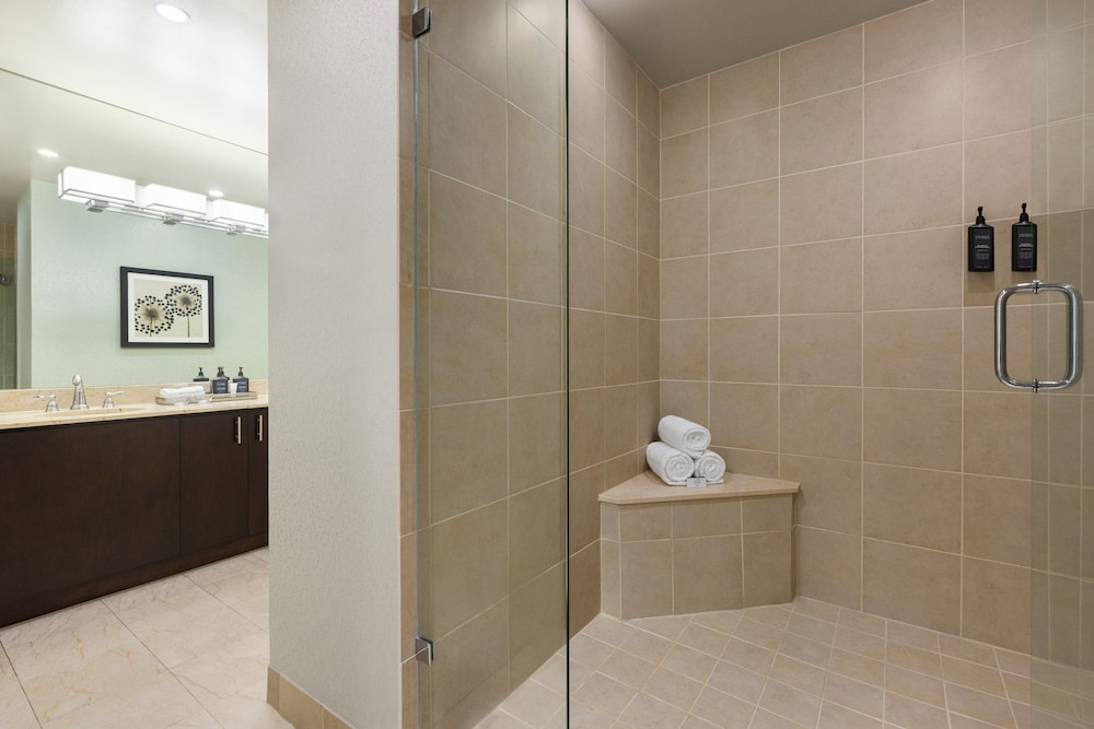 Sheraton Chicago O Hare Airport Hotel 23/73
