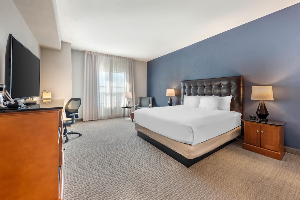 Drury Plaza Hotel San Antonio North 18/49