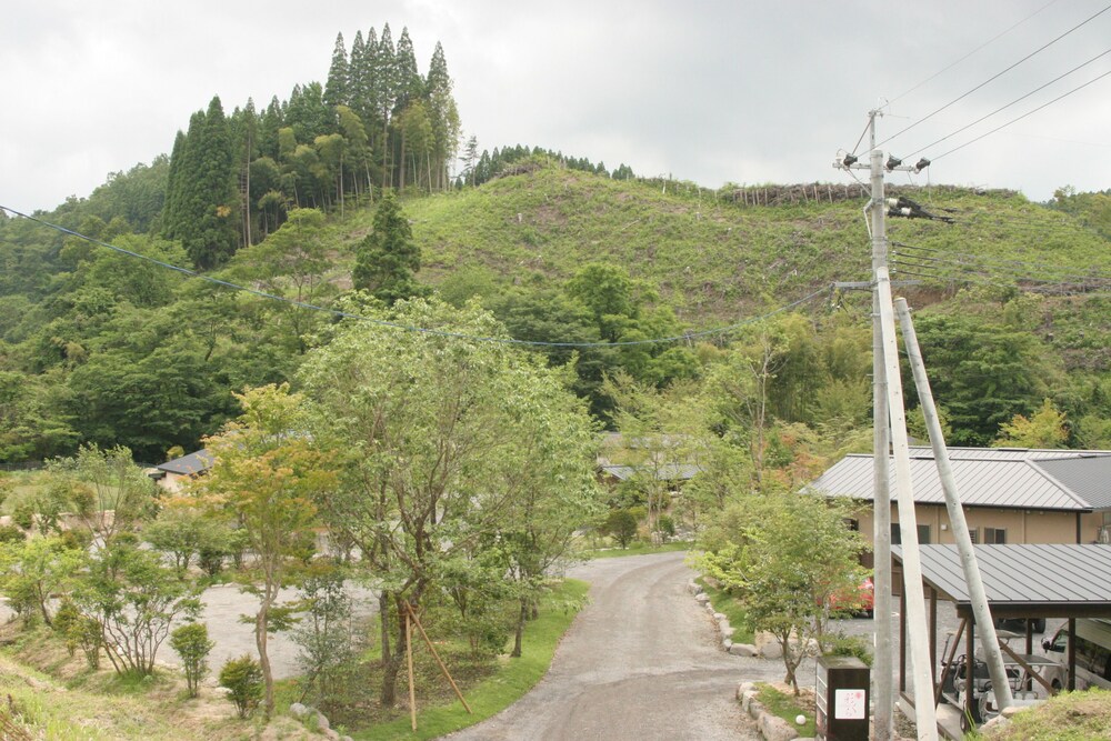 Hatago Sakura 48/50