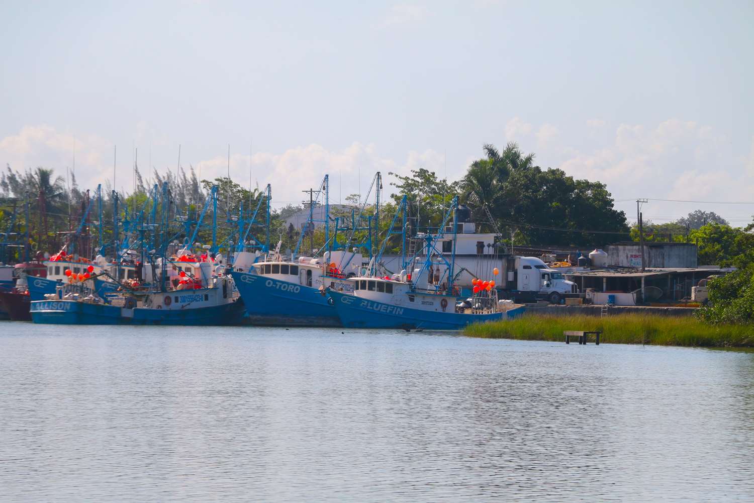 Riviera Tuxpan 24/24