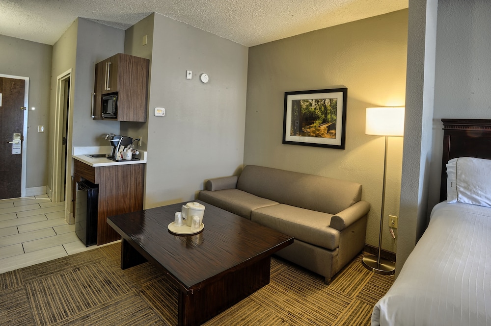 Holiday Inn Express Hotel Suites Pell City 46/71