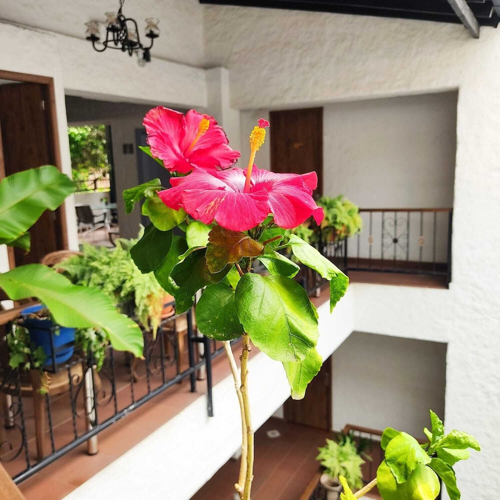 Casa del Hidalgo 11/56