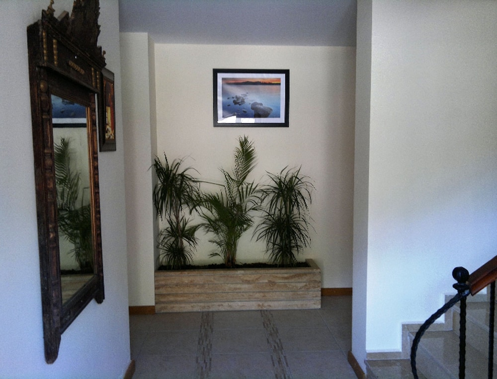 Hotel Dalos 12/62