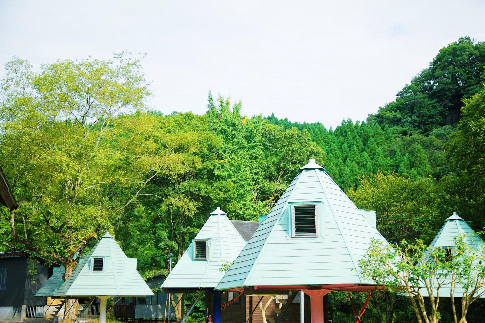 Tree House, Style, Standard, Twin Beds, River View