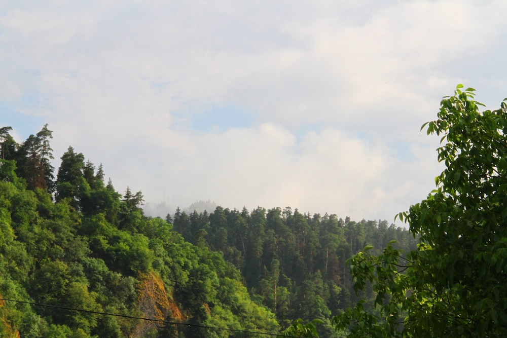 Hotel Old Borjomi 43/50