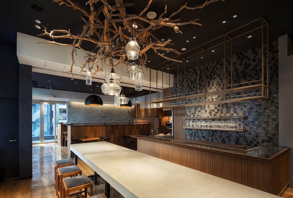 HOTEL MUSSE GINZA MEITETSU 9/74