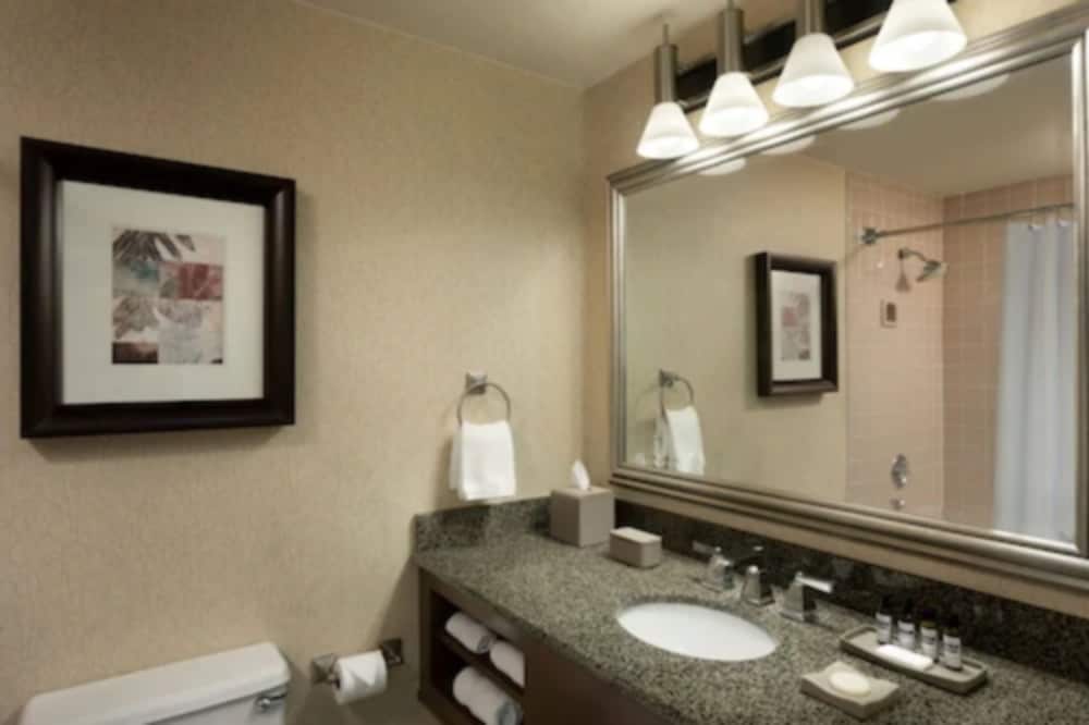 Hyatt Regency Houston West 18/61