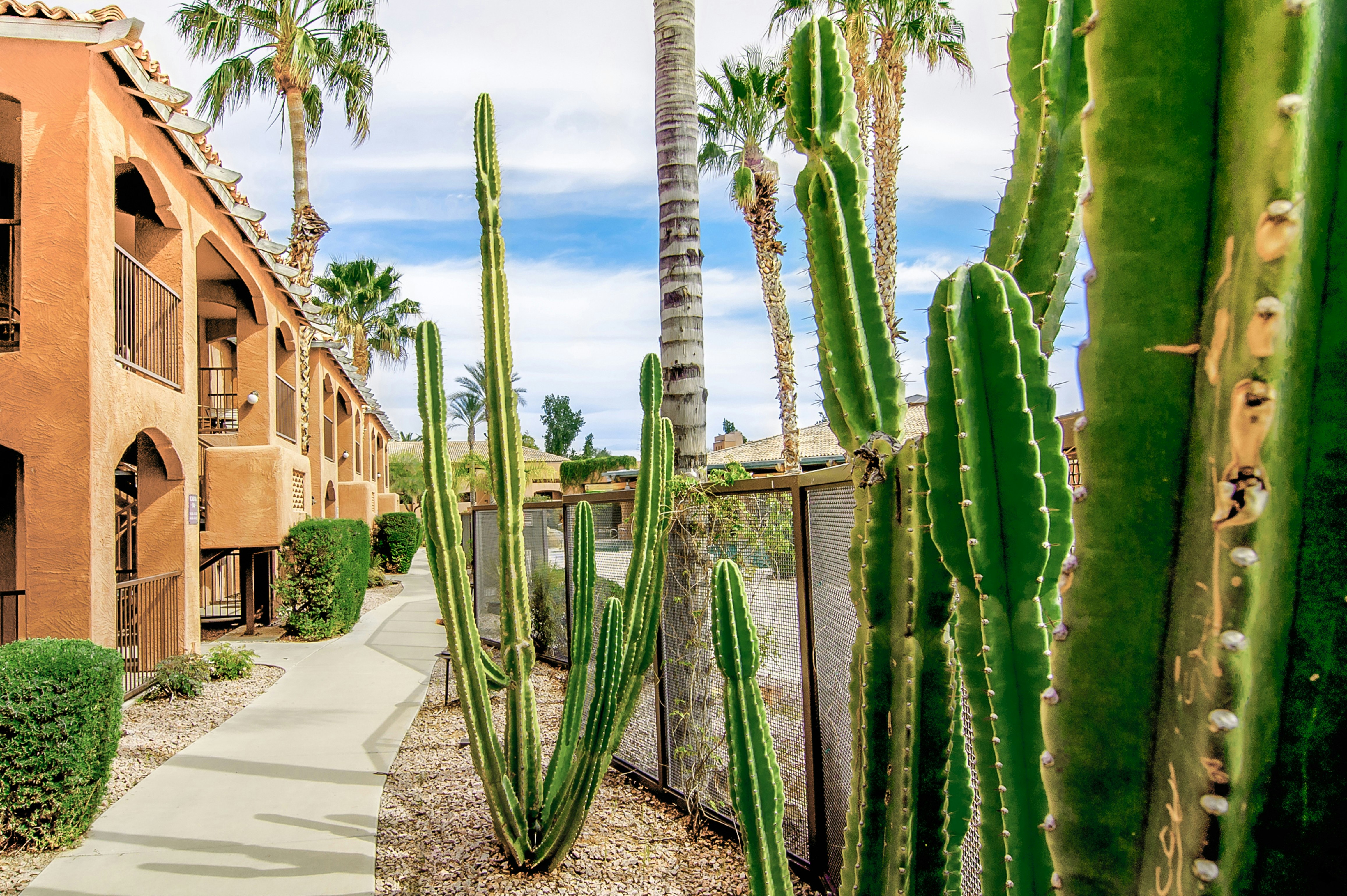 Holiday Inn Club Vacations Scottsdale Resort 56/63