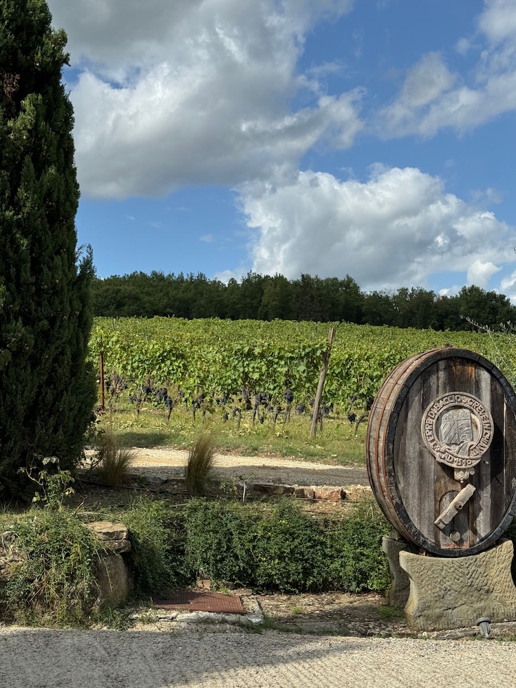 Terre Di Baccio 43/45