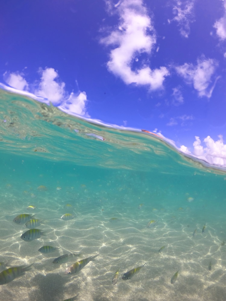 Maceio Mar Resort All Inclusive 68/71