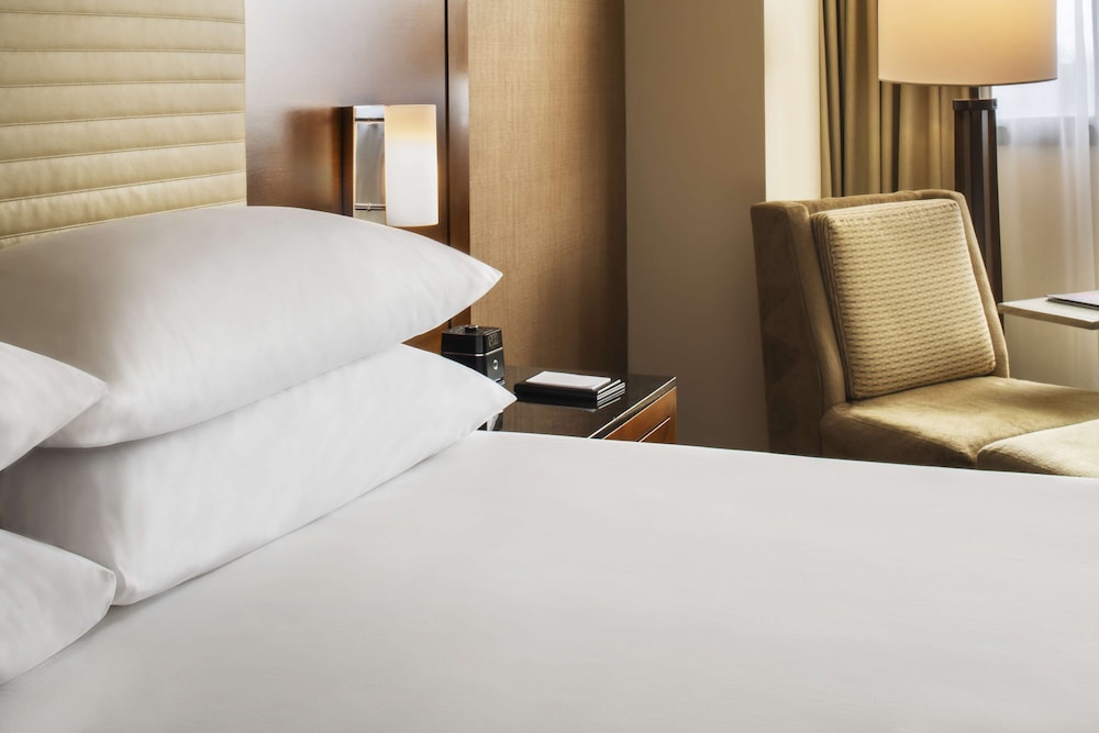 Hyatt Regency O Hare Chicago 19/50