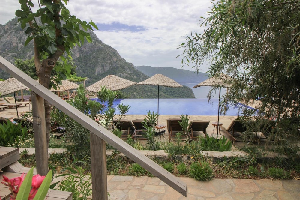 Olive Garden Kabak 36/50