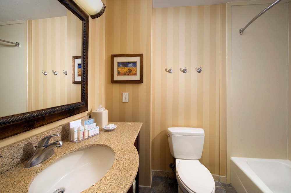 Hampton Inn and Suites San Antonio Airport 20/44