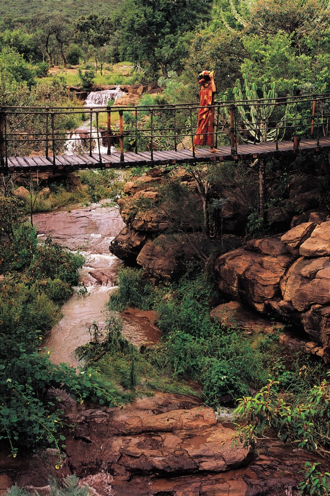 Makweti Safari Lodge 15/37