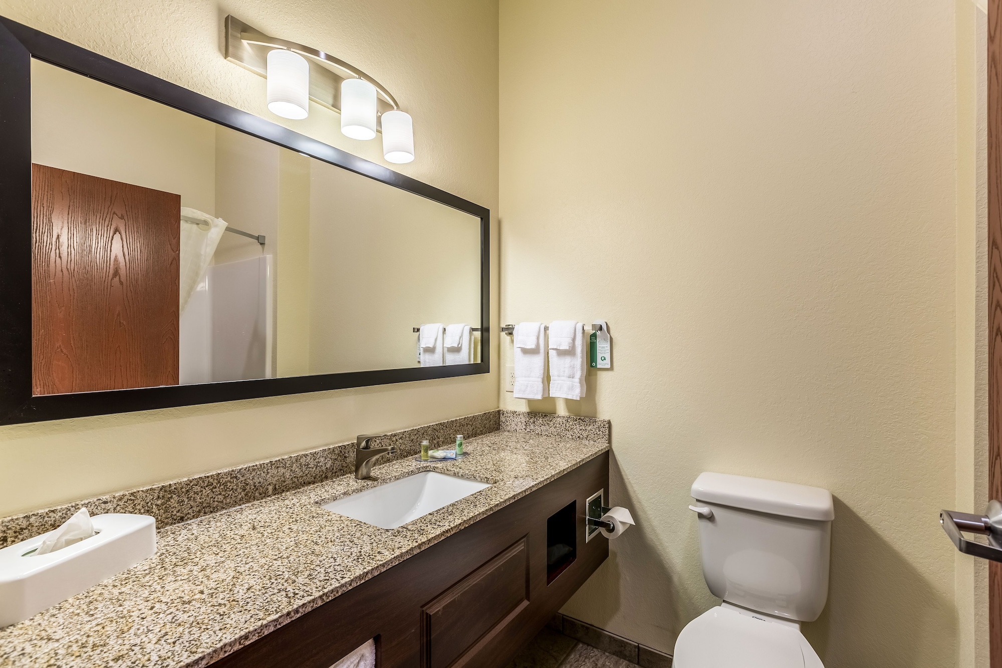 غرفة بسرير كينج لذوي الإعاقة، Cobblestone Inn & Suites - Fairfield Bay 2/3