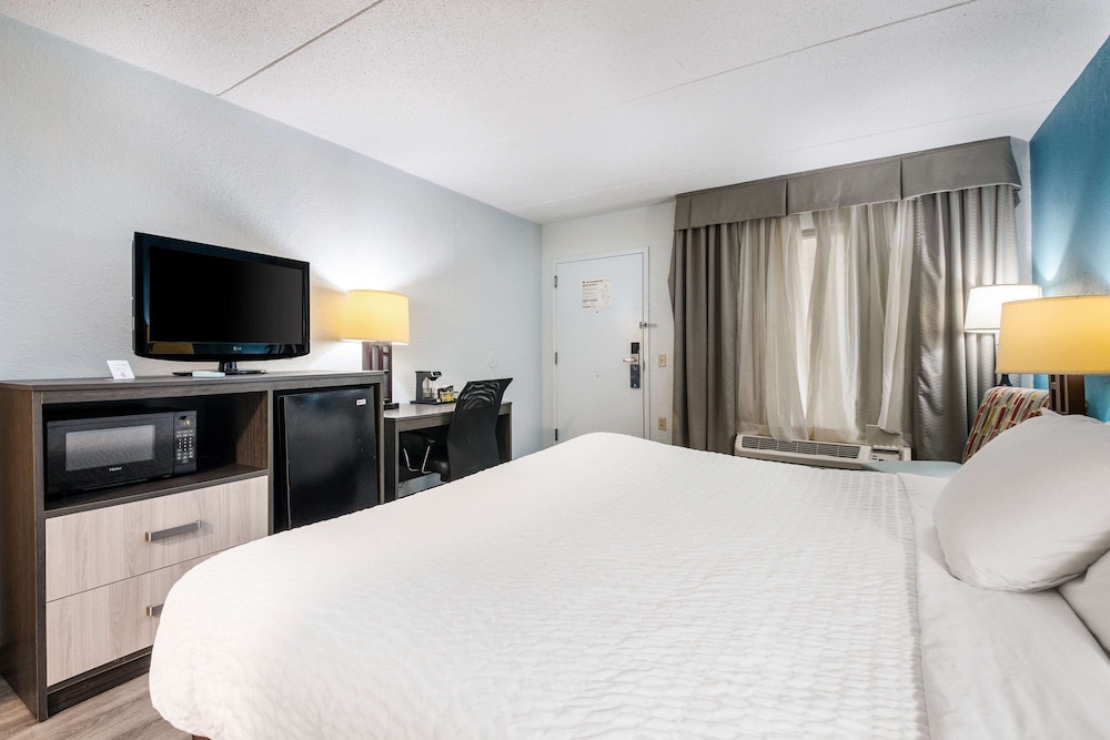 Room, King Bed, Accessible 2/4