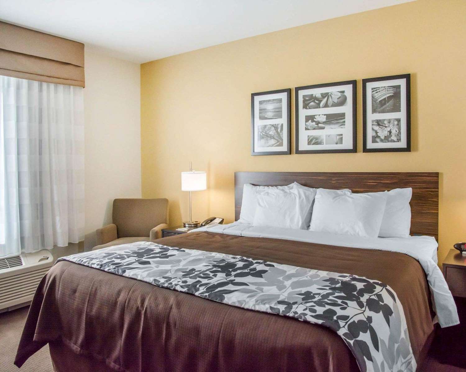 Sleep Inn & Suites Parkersburg - Marietta 13/28