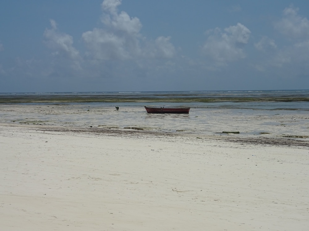 Makuti Beach Bungalows 31/65