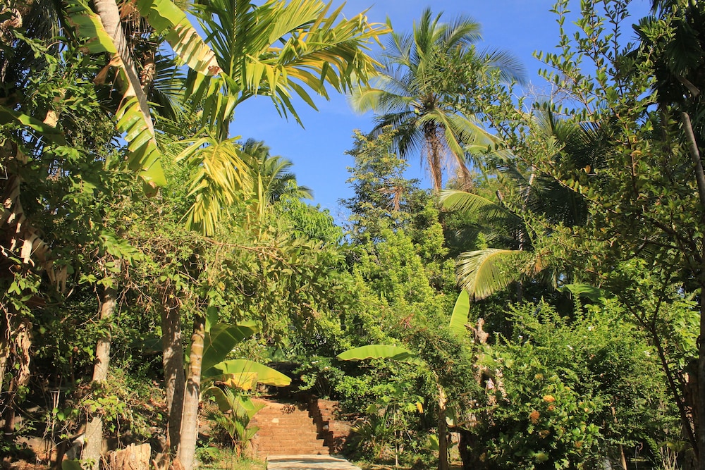 Serenity Sigiri Resort 19/29